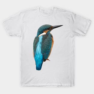 Close-up of a common kingfisher or Alcedo atthis T-Shirt